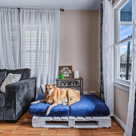 The Blue Oasis With Handicap Ramp Access Dog Friendly & Cowboy Pool Galveston Eksteriør bilde